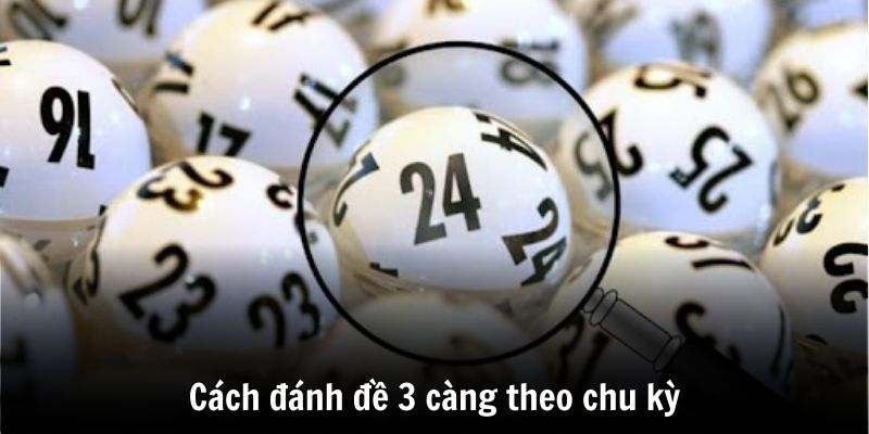 Tìm hiểu đề 3 càng là gì chi tiết nhất