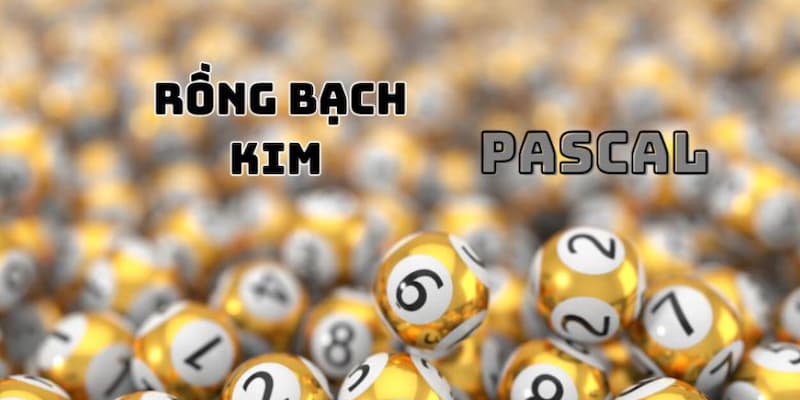 Tạo dàn đề rồng bạch kim theo Pascal trở nên nổi tiếng